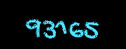Security check